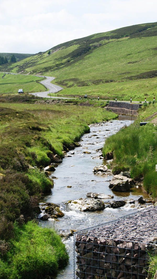 Estate for gold panning