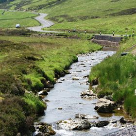 Estate for gold panning